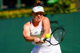 Černý den českých tenistů na Wimbledonu. Čtyři končí ve druhém kole, postup slaví jen Nosková